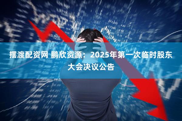 摆渡配资网 鹏欣资源：2025年第一次临时股东大会决议公告